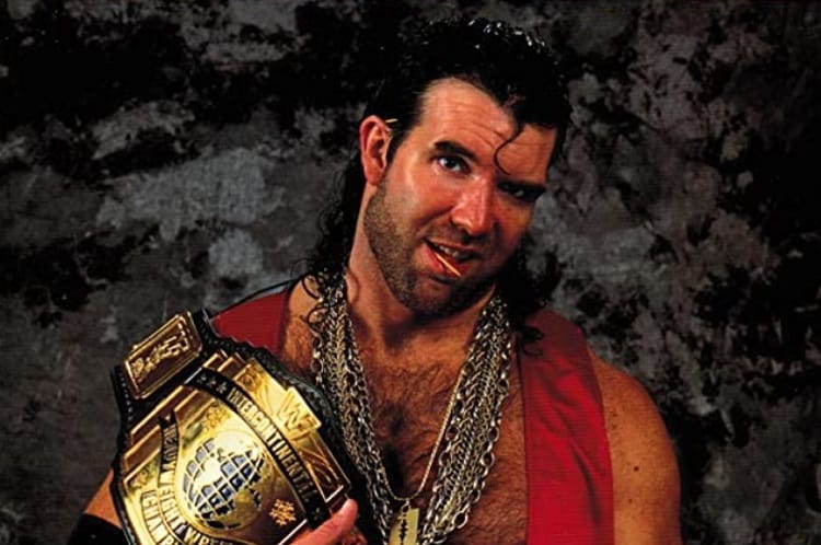 Scott Hall’s Professional Career