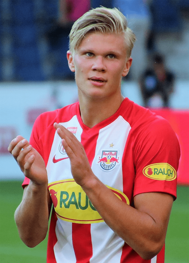 Erling Haaland Professional Career